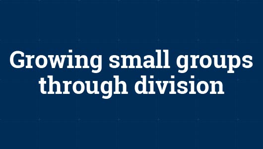 Growing small groups through division