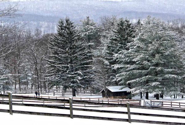 White Sulphur Springs--Winter Retreat, Week 1