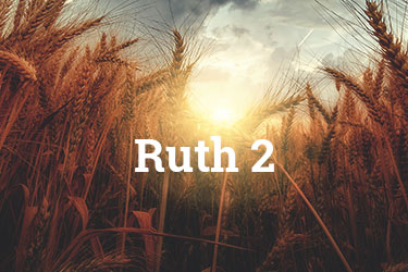 Ruth Chapter 2