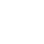 Global Town Hall